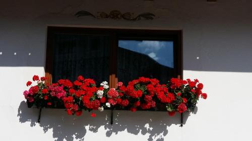 Pedraces Bed & Breakfast | Garni Flurida
