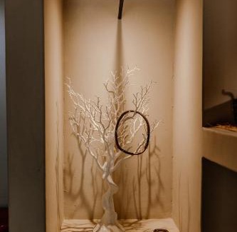 Gravelotte Cabin | Garonga Safari
