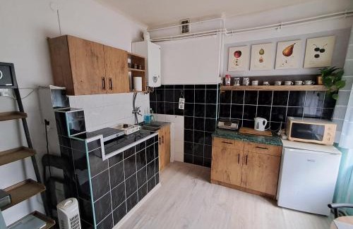 Jaslo Apartment | Garsoniera Kościuszki