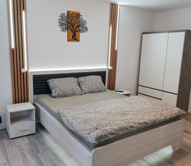 Orastie Apartment | Garsoniera luxury