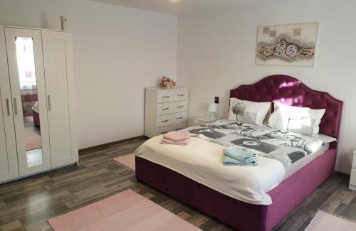 Onesti Apartment | Garsoniera Maria