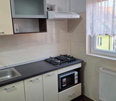 Three Oaks Apartment | Garsoniera Strada Bucegi