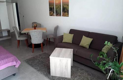 Grinzing Apartment | Garten Apartement Strebersdorf