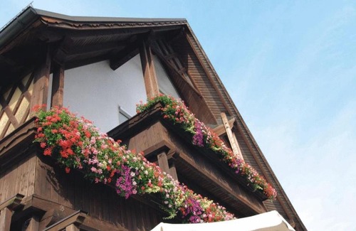 Unterallgau House | Gasthaus zur Traube