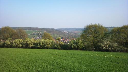 Frankenthal House | Gasthof und Pension Frankenthal - garni