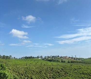 Ciater Other | Gayana Hills