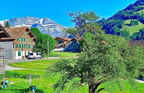 St. Stephan Apartment | Gemütliche Ferienwohnung im Berner Oberland