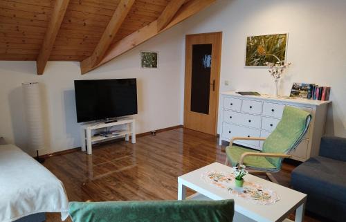 Eibenstock Apartment | Gemütliche Ferienwohnung im schönen Erzgebirge - Wohnung Frühling