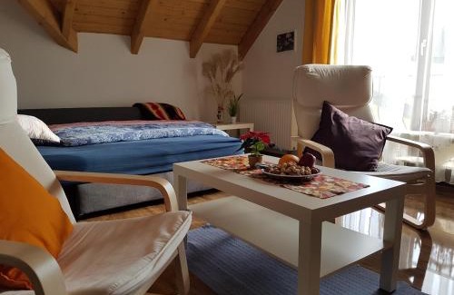 Eibenstock Apartment | Gemütliche Ferienwohnung im schönen Erzgebirge - Wohnung Frühling