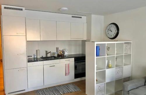 Uster District Apartment | Gemütliches 2 Zimmer Studio mit Gartensitzplatz