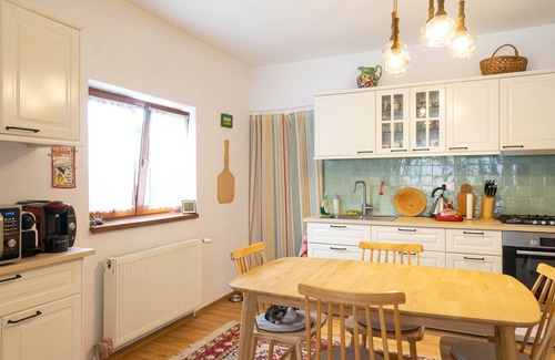 Viseu de Sus House | Generous family home
