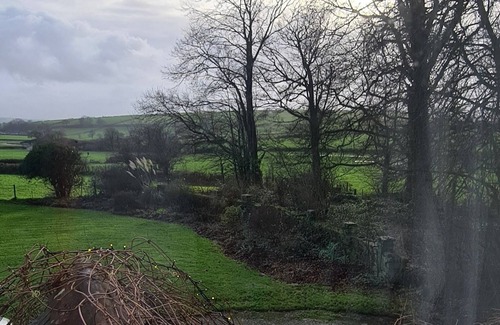 Tremain House | Georgian guesthouse for large families. Large garden, dog friendly.
