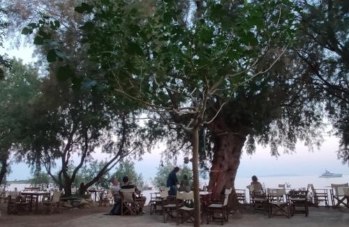 Anopolis Hotel | Georgoshouse Lykos beach Sfakia