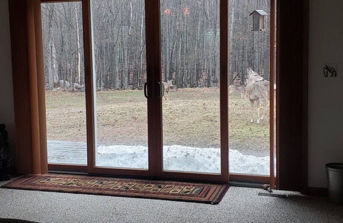 Big Bay Cabin | Get your "U.P" on with this perfect woodsy home near all kinds of fun