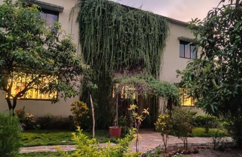 Talala Hotel | Gir Birding Lodge