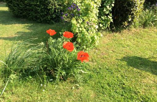 Mailly-Maillet House | Gite a la campagne
