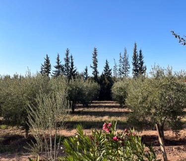 Al Ouidane Bed & Breakfast | Gite & Camping route Ouarzazate