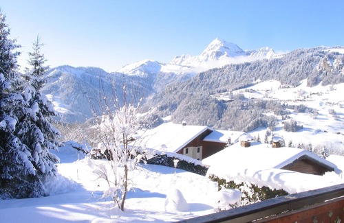 Notre-Dame-de-Bellecombe Ski Chalet | GITE DANS CHALET SAVOYARD, 4 PERS, au pied des pistes, calme, vue, expo sud