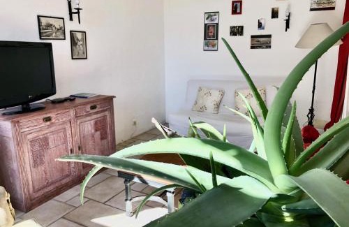 Andressac House | Gite du Coustal, Cajarc, Lot
