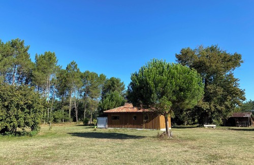 Parentis-en-Born House | Gîte du rucher d'Esleys in the heart of nature, close to the lake and ocean