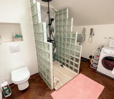 Saint-Martin-de-Hinx Apartment | Gite en appartement en sud ouest