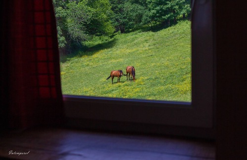 Mont-Roc Cottage | Gîte for nature lovers with spa and hammam