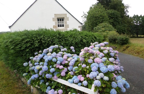 Saint-Tugdual House | GITE LA MAISON BLEUE