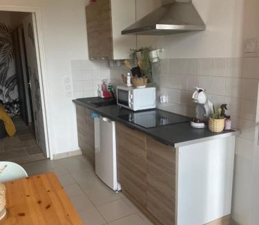 Chaumont-sur-Loire Apartment | Gite les pieds dans l'eau