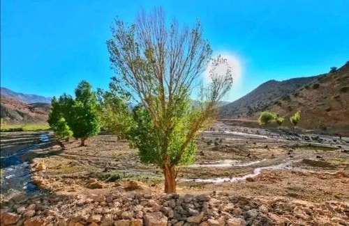 Ait Izdeg Hotel | GITE ROURAL TATIOUINE Midelt