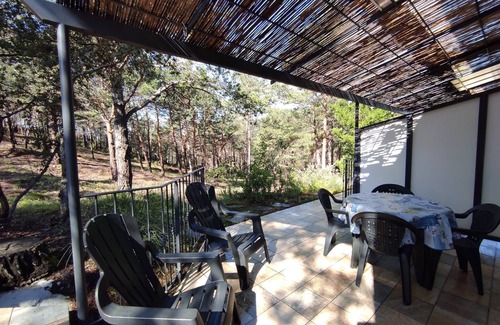 Saint-Julien Apartment | Gite with swimming pool Verdon/Gréoux Bains/Lac Esparron. Pets accepted