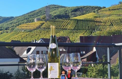 Katzenthal House | Gites Les Terrasses du Wineck