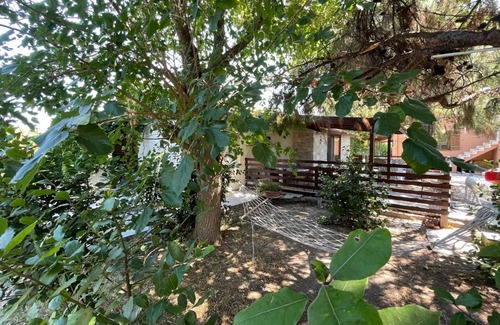 Iskele Mahallesi House | Gizlibahçe