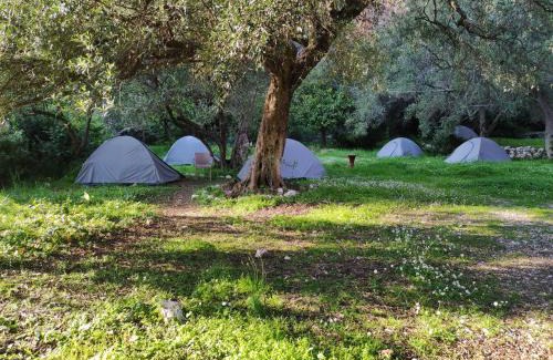 Jala Other | Gjipe eco campground