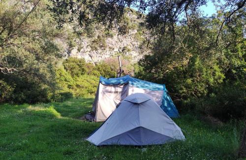Jala Other | Gjipe eco campground