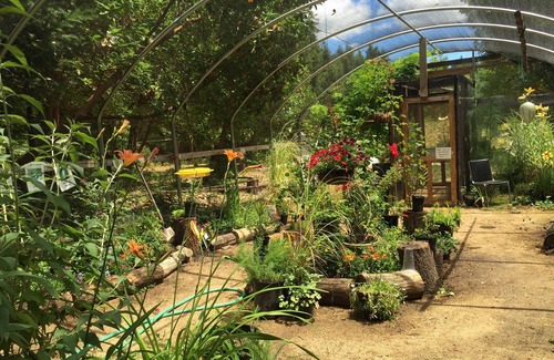 Cave Junction RV Rental | Glamping #4, Nature Immersion, River access, Butterfly Pavilion