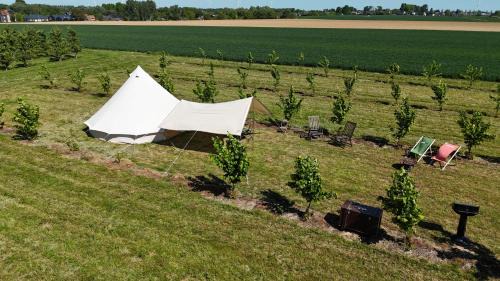 Hannut Other | Glamping au verger de la Marsale