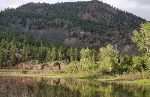 Glacier Country Cabin | Glamping in the Gypsy Bungalow by the river, 2 miles from Quinn's hot springs.