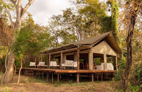 Province of Chaco Other | Glamping Los Palmares