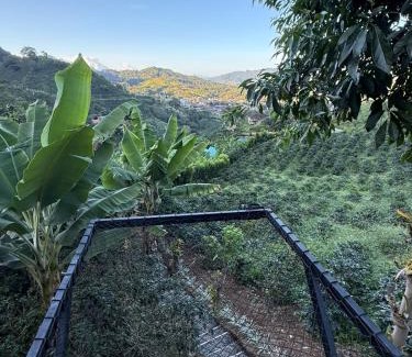 Andes Cabin | Glamping Mountain Coffee
