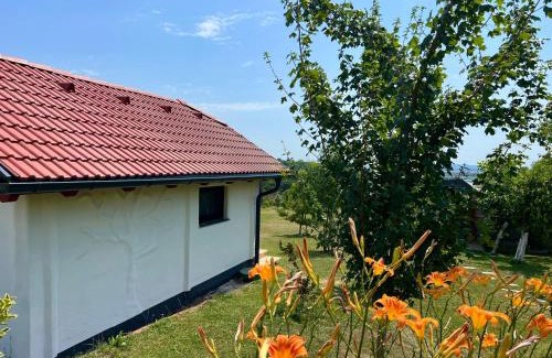 Moravske Toplice Other | Glamping NA BREJGI