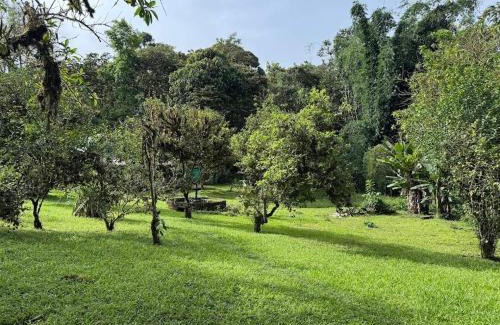Mindo Other | Glamping para experiencias únicas en pareja
