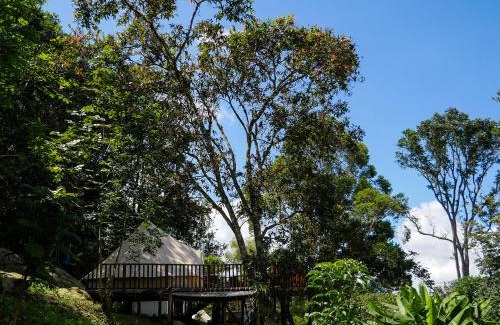 Pacho Other | Glamping Portal Del Bosque