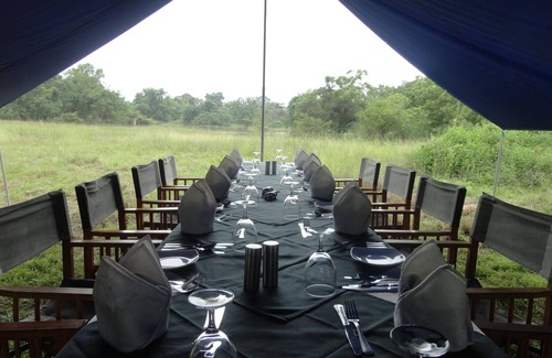 Nochchiyagama RV Rental | Glamping Tent. Just5 min to Wilpattu Park Gate