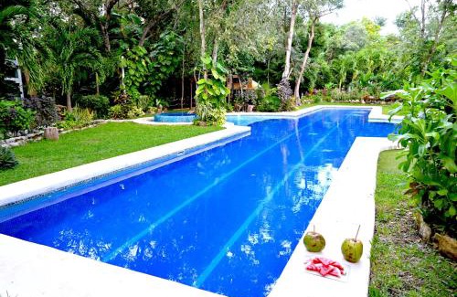 Villa Juarez Villa | GLASS JUNGLE VILLA with amazing green views -10 min DT