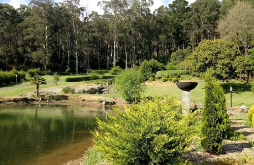 Sassafras Apartment | Glen Elborne-On The LAKE-Platypus/Lyrebirds/Wildlife/Walking Tracks