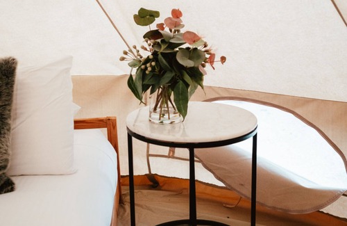 Windeyer Other | Glenayr Farm - Shiraz