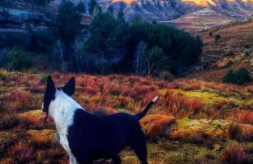 Senqu House | Glengyle Guest Farm