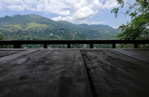 Primrose Cabin | Glenview hotel & homestay