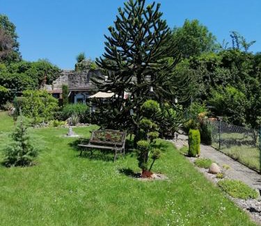 Bad Sooden-Allendorf Apartment | Glori 's Fewo