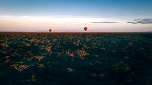 Sinoni Cabin | Gnu Ndutu Camp